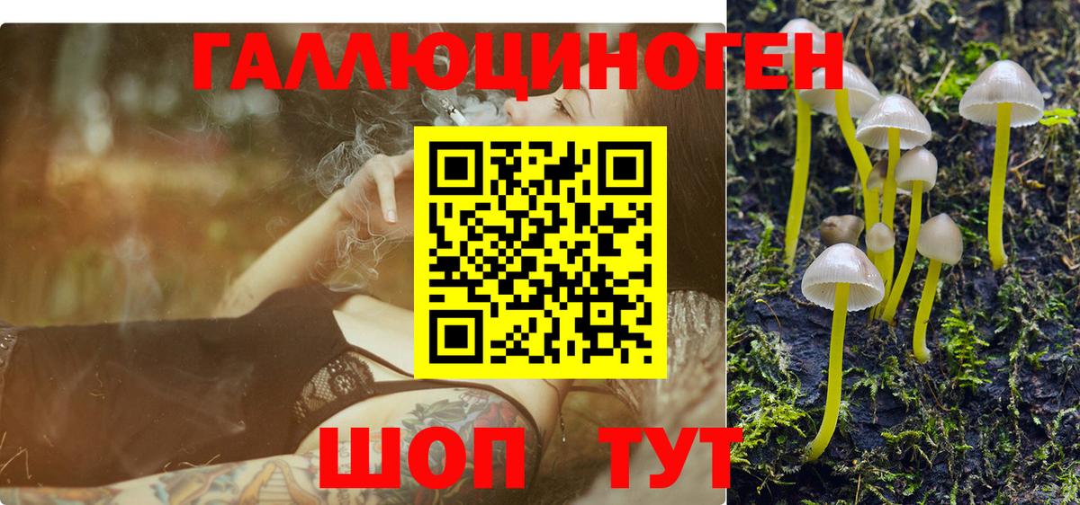 Галлюциногенные грибы Psilocybine cubensis  Вход с VPN  Кингисепп  Псилоцибиновые грибы Cubensis 