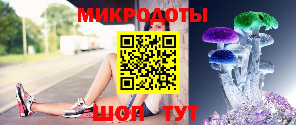 Псилоцибиновые грибы Psilocybine cubensis Кингисепп