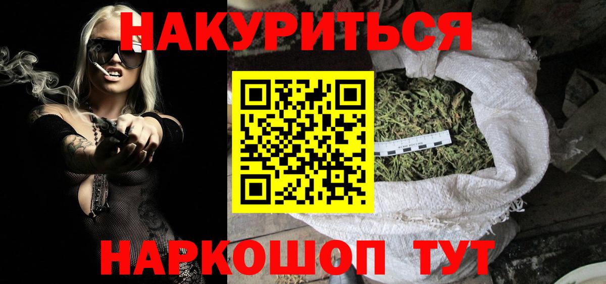 Конопля гибрид Кингисепп